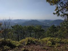 -风云岭森林公园