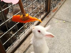 -同里湖大饭店-怡景轩中餐厅(同里古镇店)