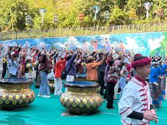 -西双版纳原始森林公园