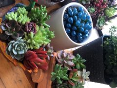 -爱尚幸福鲜花(上地实体店)