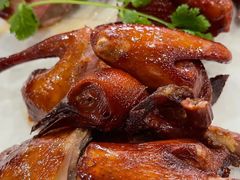 红烧乳鸽-黄埔华苑酒家(黄埔店)