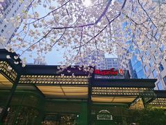 -玛格萝妮比萨屋(四平店)