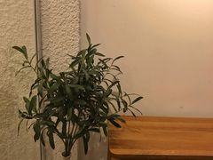 -Cafe on warm(丹霞店)