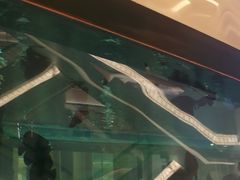 -上海市格致初级中学