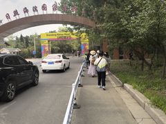 -日照海滨国家森林公园
