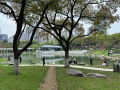 -昆山城市公园
