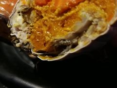 -西街夜油条·麻团包乌饭