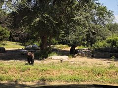 -北京野生动物园