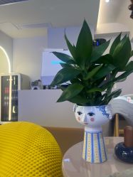 -海菲秀·飞顿牛奶光·LDM官方授权中心美轮美浣瓷感美肌