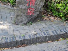 -上海佘山国家森林公园天马山园