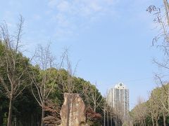 -苏州河梦清园环保主题公园