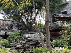 -顺峰山公园