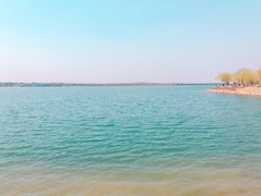 -丁香湖公园