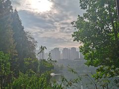 -重庆彩云湖湿地公园