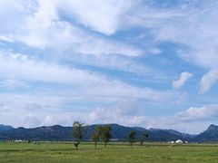 -敕勒川草原