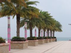 -玫瑰海岸文化旅游度假区