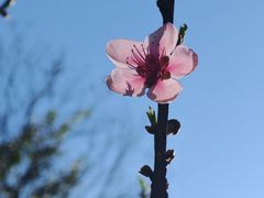 -灵光寺