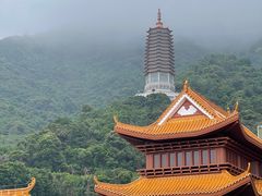 -深圳仙湖植物园