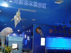 -厦门海底世界