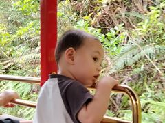 -东部华侨城