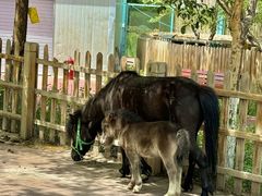 -水上乐园·欢乐世界