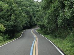 -老山国家森林公园