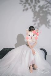 点击看大图 -THE QUEEN(北京店)