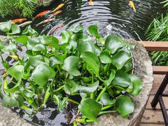 -聚福宝合苑食府(南头镇店)