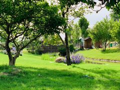 -安德鲁户外烧烤帐篷营地(马泉营店)