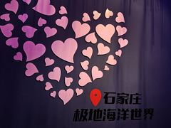 -石家庄极地海洋世界