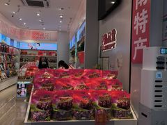 -舜华临武鸭·湖南零食特产(三王街店)