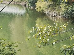 -深圳仙湖植物园