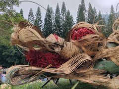 -深圳仙湖植物园