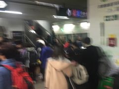 -东方体育中心(地铁站)