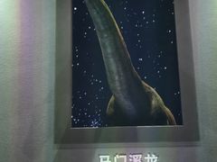 -天津自然博物馆
