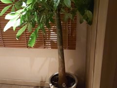 -和子足浴SPA会馆(梁溪店)