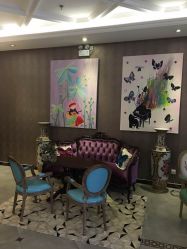 -法国安杰玛SPA会所