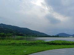 -风云岭森林公园