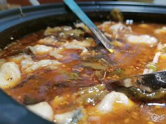 -光海·乡记酸菜鱼·始于1996(花园路店)