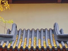 -郑和公园