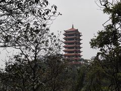 -缙云山景区