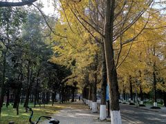 -四川大学(望江校区)