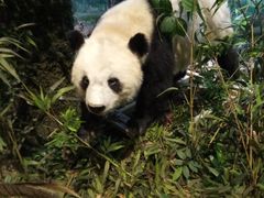 -陕西自然博物馆