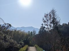 -韶关经律论国际酒店温泉