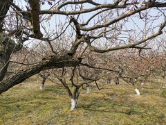 -白马涧龙池景区