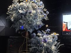 -黑桃K生日订制KTV