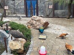 -大连森林动物园