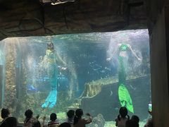 -嘉兴海底世界