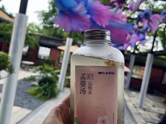 -杭州西湖风景名胜区-三生石
