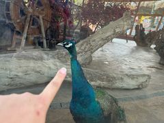 -石家庄市动物园